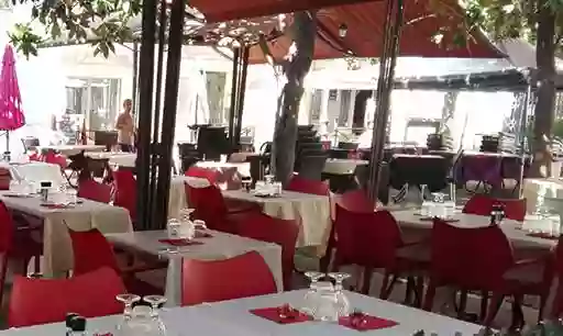 Les Magnolias - Restaurant Nimes - Restaurant terrasse Nimes